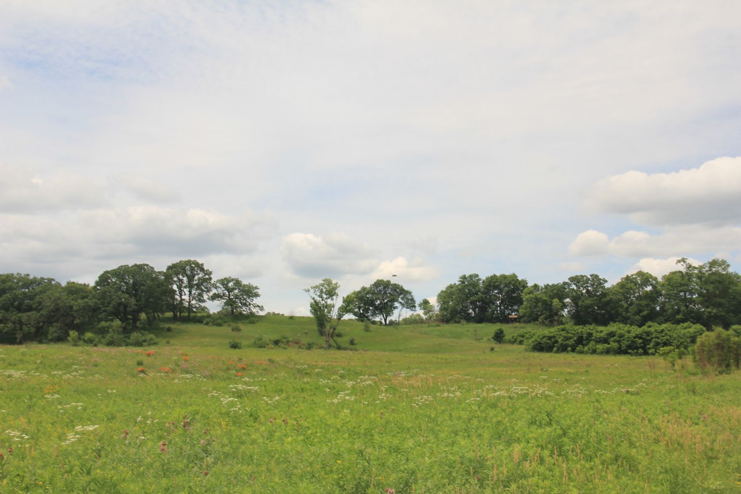 Badger Park Trail 